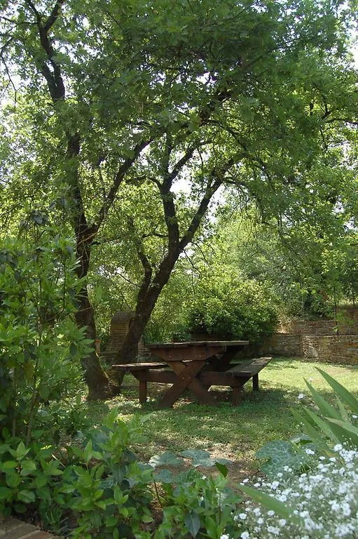 La Berchiera Apartment Ciggiano Italy