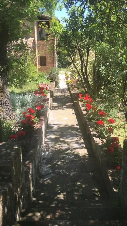 La Berchiera Apartment Ciggiano Italy