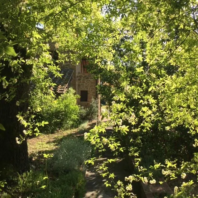 La Berchiera Apartment Ciggiano