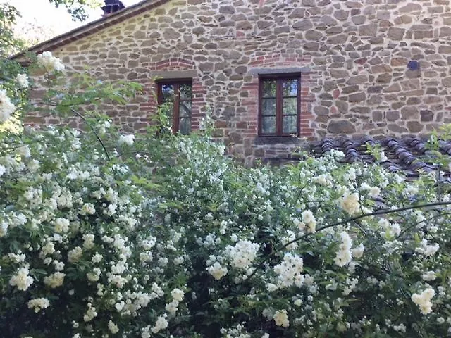 La Berchiera Apartment Ciggiano Italy